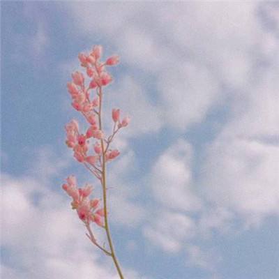 宝威体育官网app下载