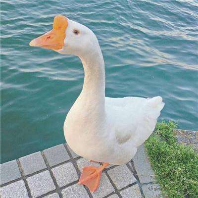 金年会app官方网址截图