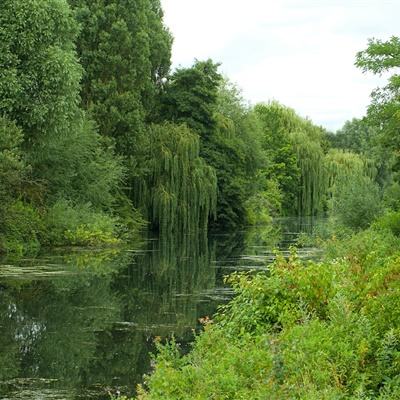 2023年新澳门今晚开特马下载手机版