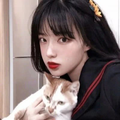 kaiyun·体育app下载