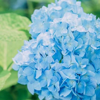 江南娱乐app截图