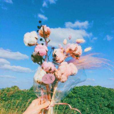 JN江南·体育注册